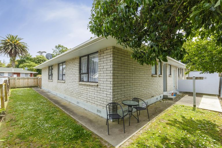 Photo of property in 155a Ruahine Street, Roslyn, Palmerston North, 4414