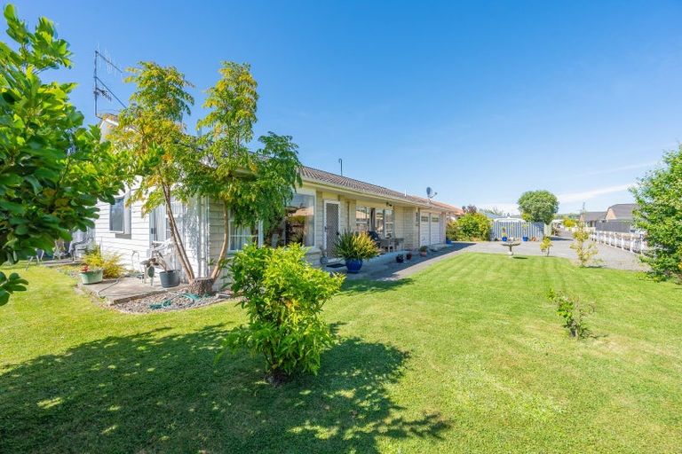 Photo of property in 117 Auckland Road, Greenmeadows, Napier, 4112