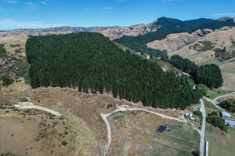 Photo of property in 287 Barracks Road, Hawkesbury, Renwick, 7272