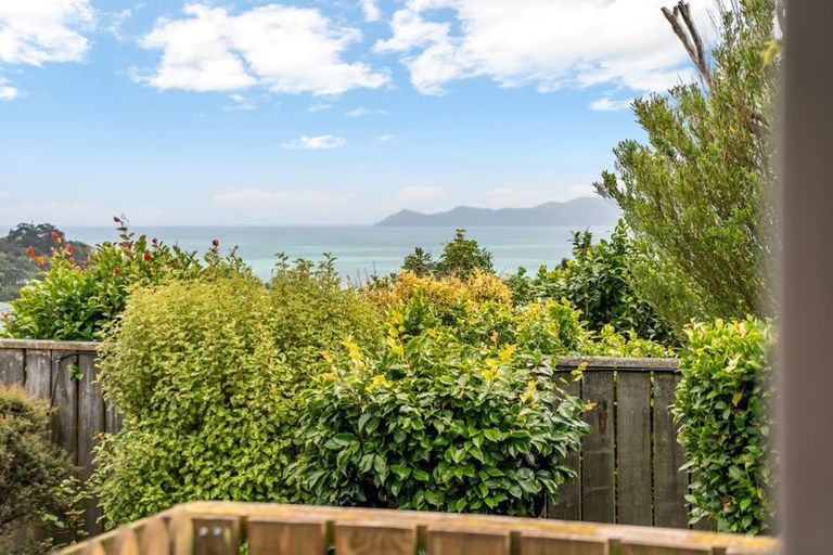 Photo of property in 56b Sea Vista Drive, Pukerua Bay, 5026
