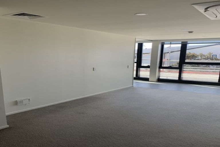 Photo of property in Luna Apartments, 1p/16 Burton Street, Grafton, Auckland, 1010