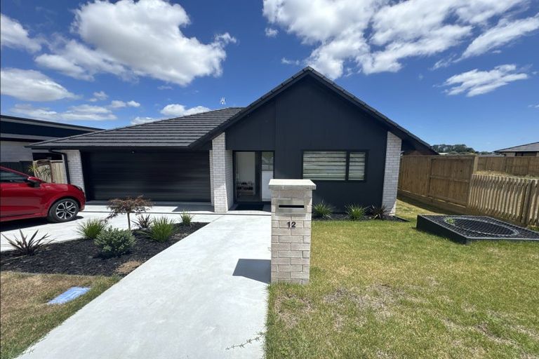 Photo of property in 12 Celeste Terrace, Peacocke, Hamilton, 3206