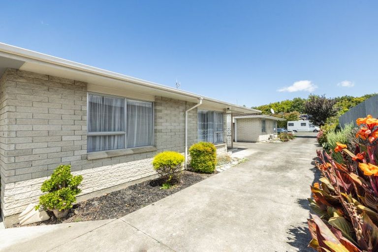 Photo of property in 2/505 Burnett Street, Mahora, Hastings, 4120