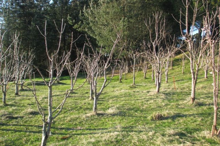 Photo of property in 4 Terrace Street, Matawai, 4075