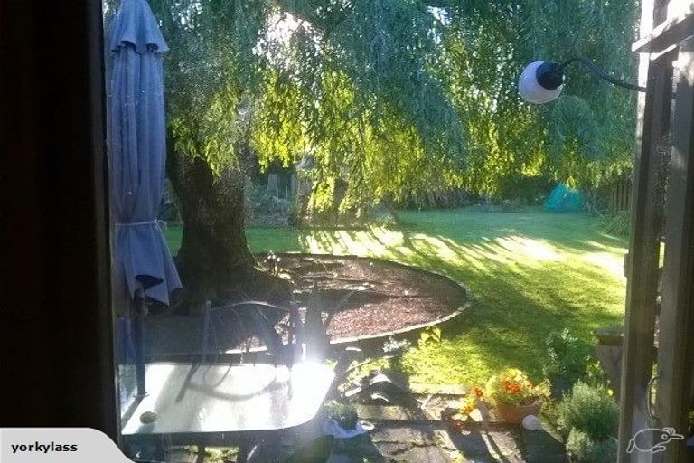 Photo of property in 8 Jackson Street, Methven, 7730