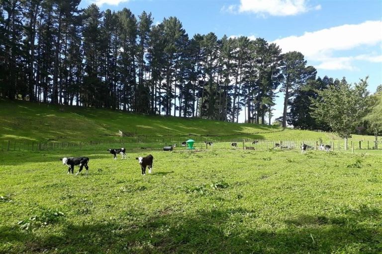 Photo of property in 131e Hogg Road, Rotoma, Whakatane, 3192