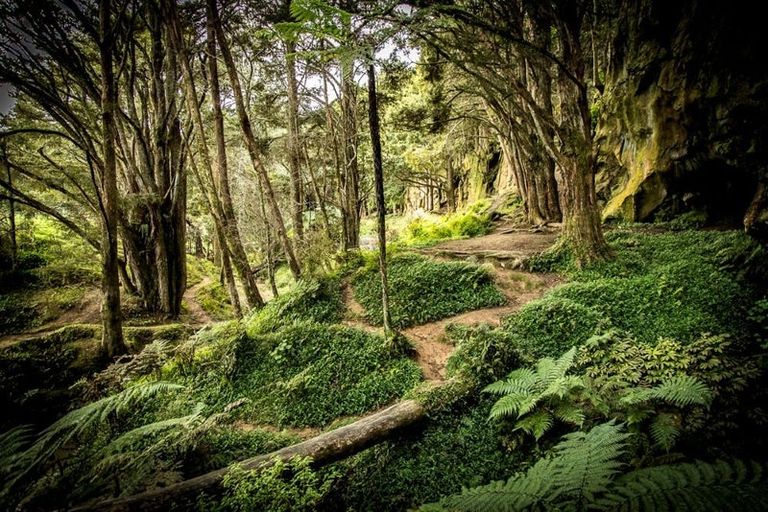 Photo of property in 93 Waipu Caves Estate Drive, Waipu, 0582