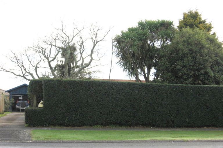 Photo of property in 33 Marshall Street, Fairfield, Hamilton, 3214