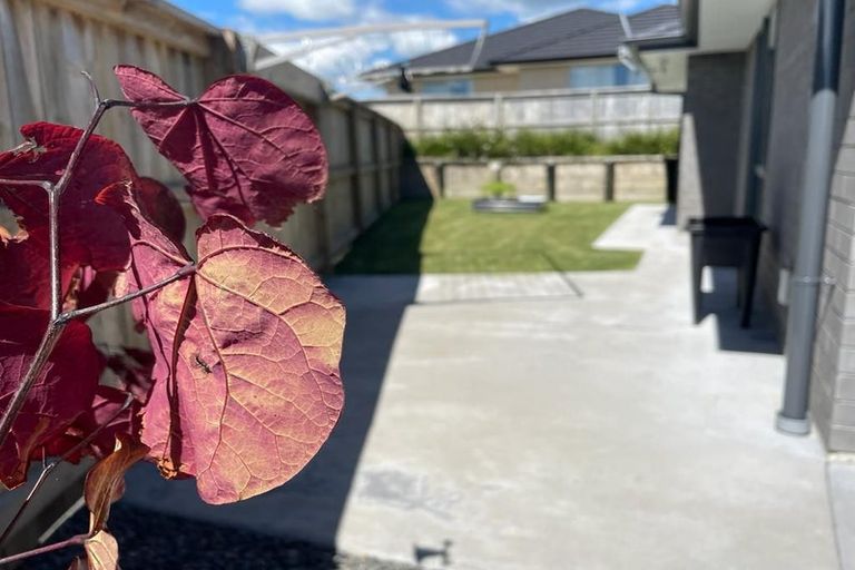 Photo of property in 5 Nottingham Road, Omokoroa, 3114