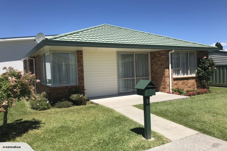 Photo of property in 1 Tutunui Street, Otorohanga, 3900