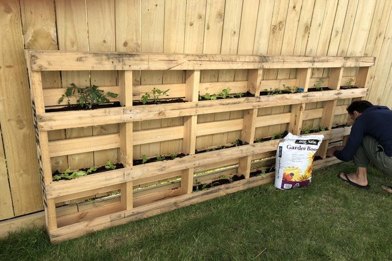 Photo of property in 9/36 Tacy Street, Kilbirnie, Wellington, 6022