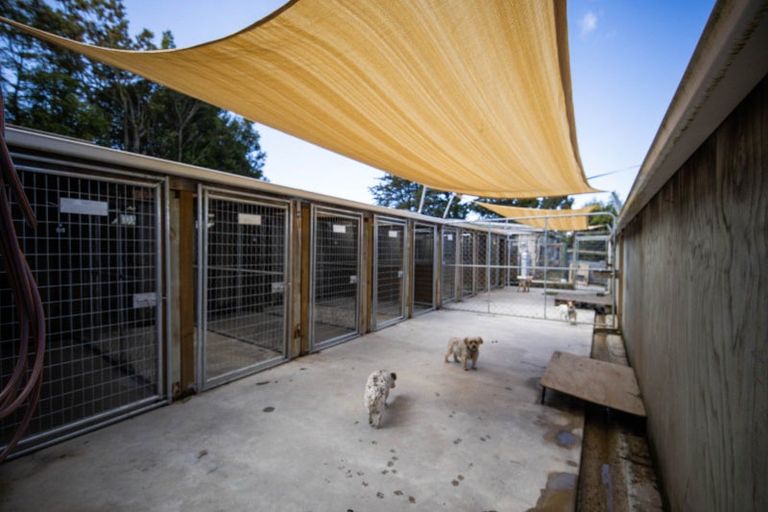 Photo of property in 96 Reservoir Road, Oamaru North, Oamaru, 9400