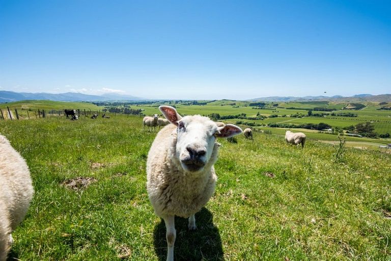 Photo of property in 75 Kahu Way, Hawkesbury, Blenheim, 7272