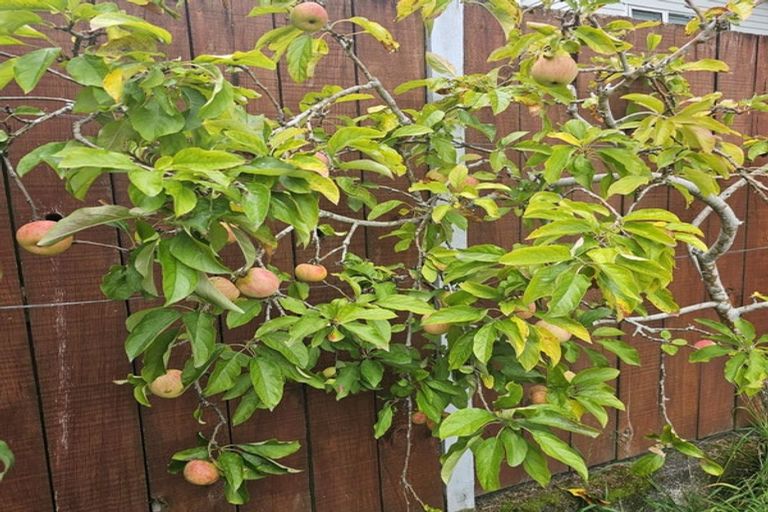 Photo of property in 70 Carrington Avenue, Silverdale, Hamilton, 3216