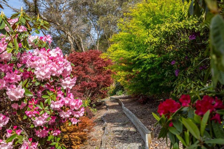 Photo of property in 252 Masterton Stronvar Road, Te Ore Ore, Masterton, 5890