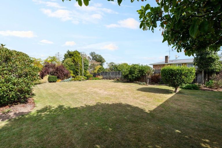 Photo of property in 45 Bruce Avenue, Glenview, Hamilton, 3206