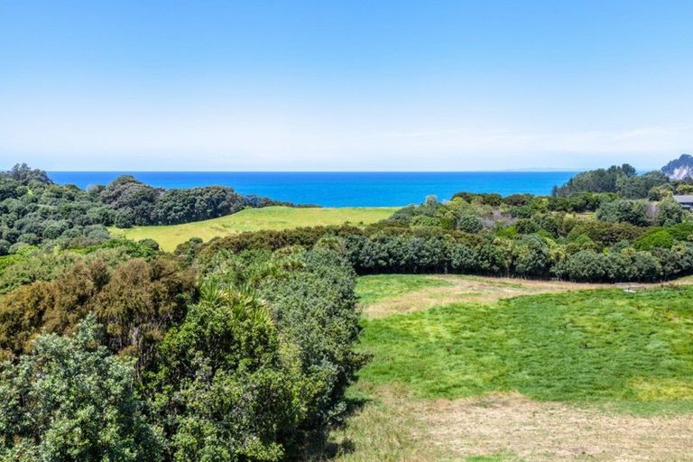 Photo of property in 444 Onemana Drive, Onemana, Whangamata, 3691