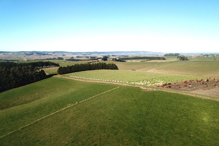 Photo of property in 31 Birss Road, Balclutha, 9272