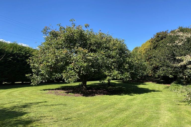 Photo of property in 356 Belk Road, Omanawa, Tauranga, 3171