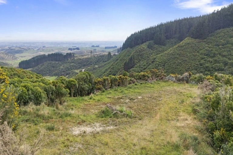 Photo of property in 106 Harrison Hill Road, Aokautere, 4471