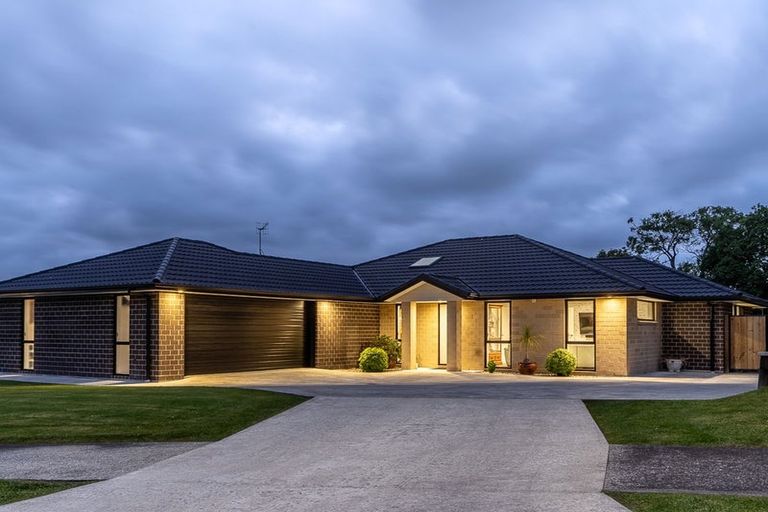 Photo of property in 1 Sudeng Street, Levin, 5510