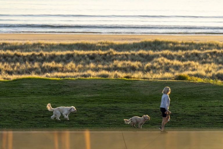 Photo of property in 76 Marine Parade, Mount Maunganui, 3116