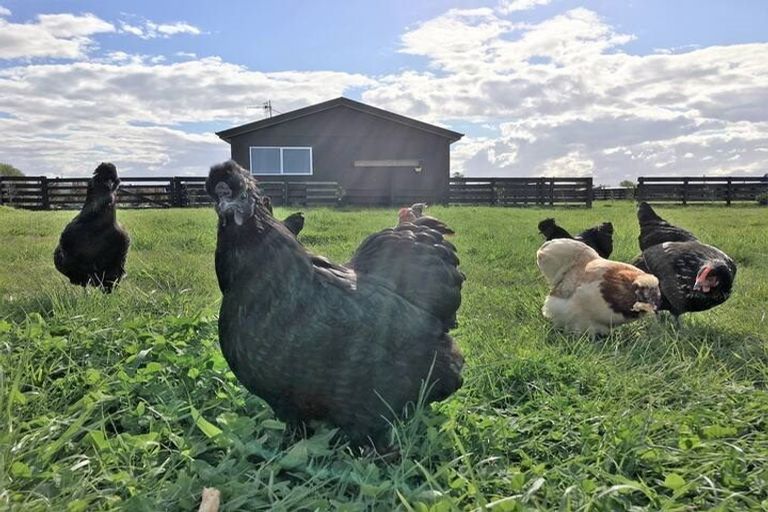 Photo of property in 22 Ulyatt Road, Meeanee, Napier, 4112