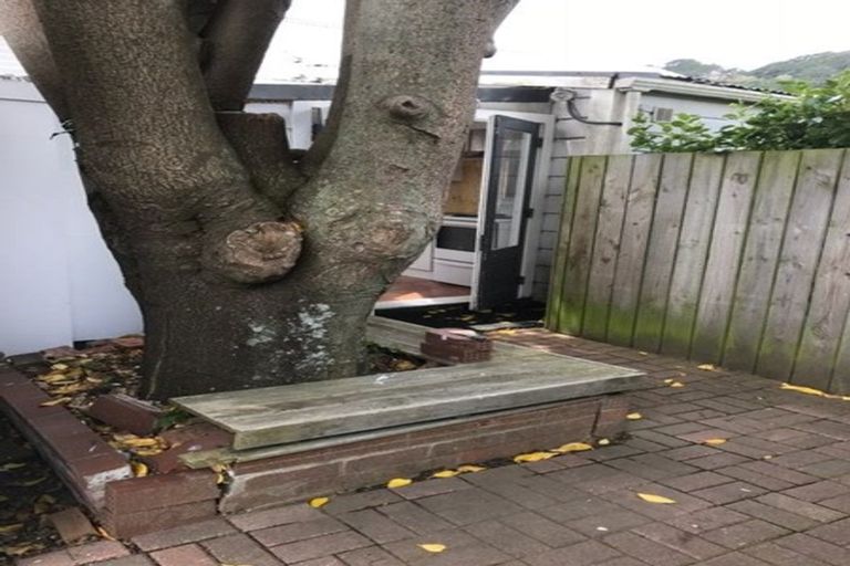 Photo of property in 54 Elizabeth Street, Mount Victoria, Wellington, 6011