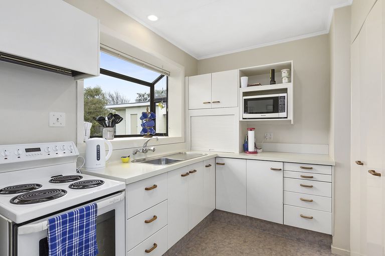 Photo of property in 4 Erskine Place, Saint Clair, Dunedin, 9012