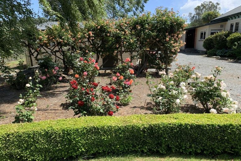 Photo of property in 31 Mckenzie Street, Geraldine, 7930