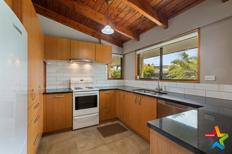 Photo of property in 60 Parry Palm Avenue, Waihi, 3610