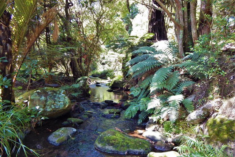 Photo of property in Blue Gum Lane, Kerikeri, 0293