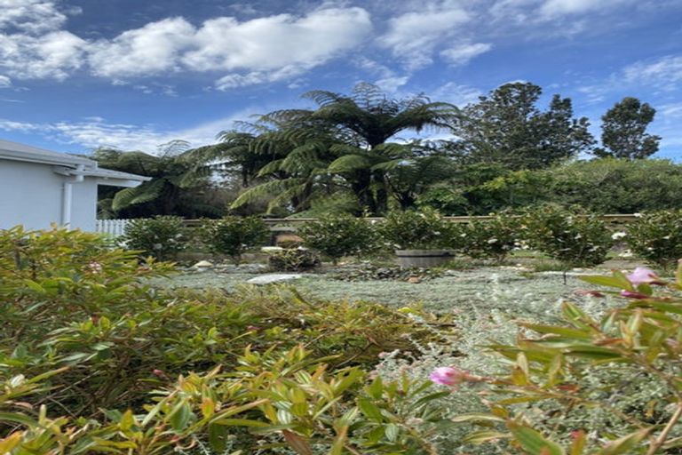 Photo of property in 196 Williams Road North, Pyes Pa, Tauranga, 3173