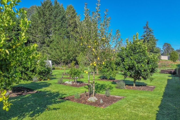 Photo of property in 113/117 Main Road, Tirau, 3410