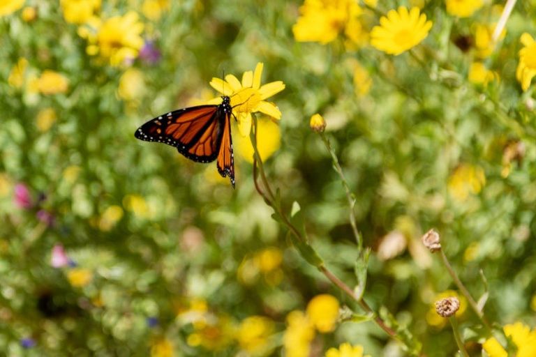 Photo of property in 90-92 Kiwi Road, Raumati Beach, Paraparaumu, 5032