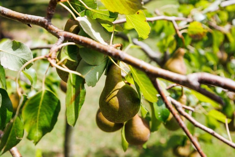 Photo of property in 1498 Napier Road, Ashhurst, 4810