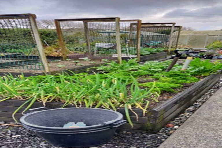 Photo of property in 126 Geraghty Maber Road, Tuakau, 2121