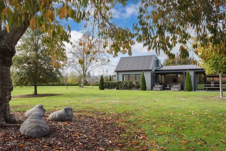 Photo of property in 18 Orchard Place, Matamata, 3472