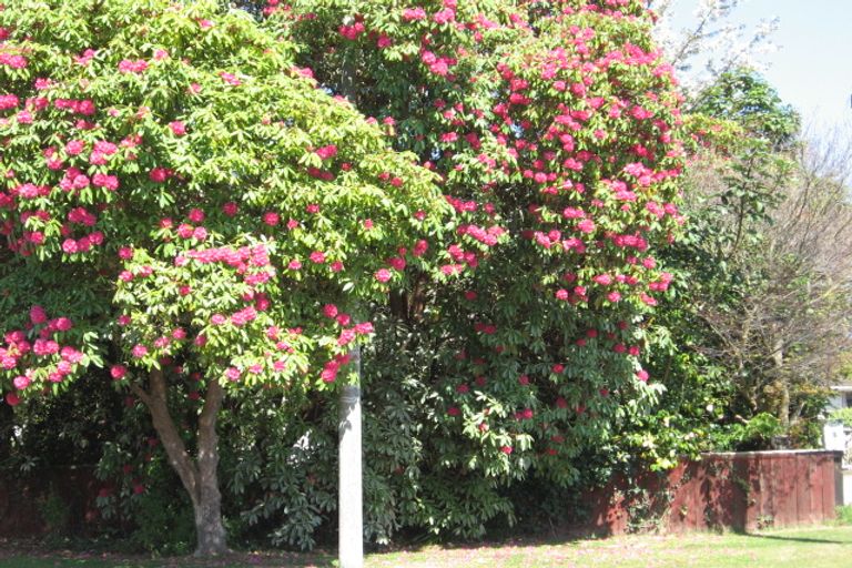 Photo of property in 6 Sophia Street, Glenholme, Rotorua, 3010