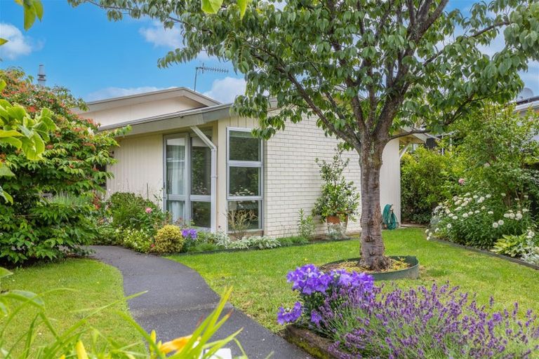 Photo of property in 16 Mckeefry Avenue, Greenmeadows, Napier, 4112