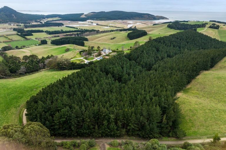 Photo of property in 53 Bushey Park Road, Bushey, Palmerston, 9482