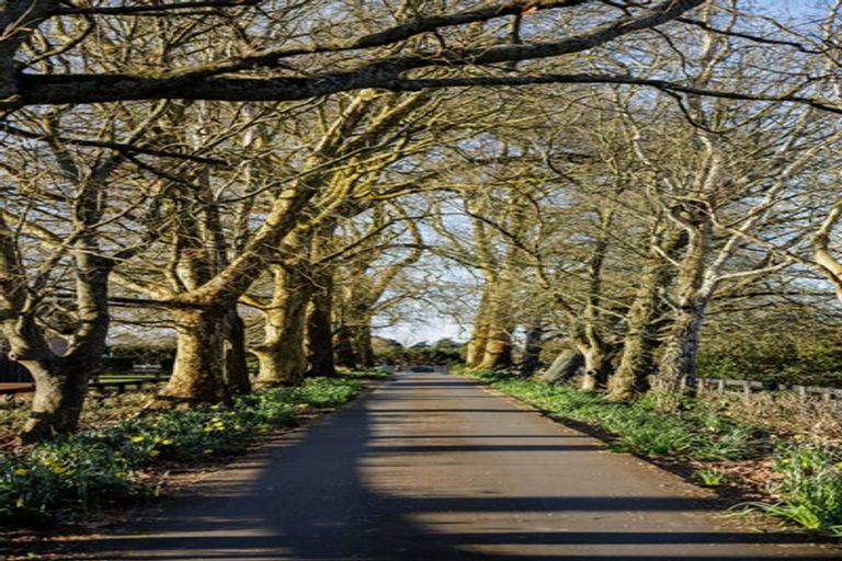 Photo of property in 342b Tamahere Drive, Tamahere, Hamilton, 3283