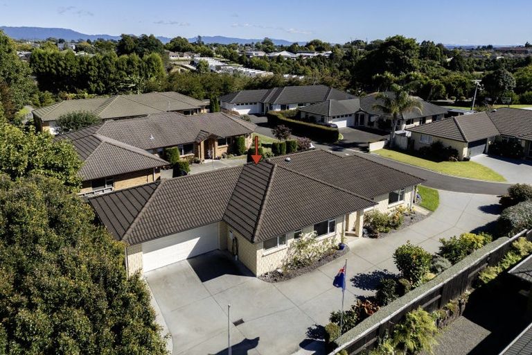 Photo of property in 52 Raukawa Drive, Bethlehem, Tauranga, 3110