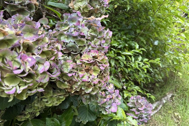 Photo of property in 232b Shepherd Road, Peria, Kaitaia, 0482