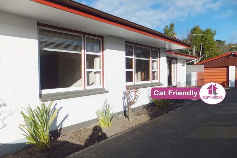 Photo of property in 2/184 Centaurus Road, Saint Martins, Christchurch, 8022