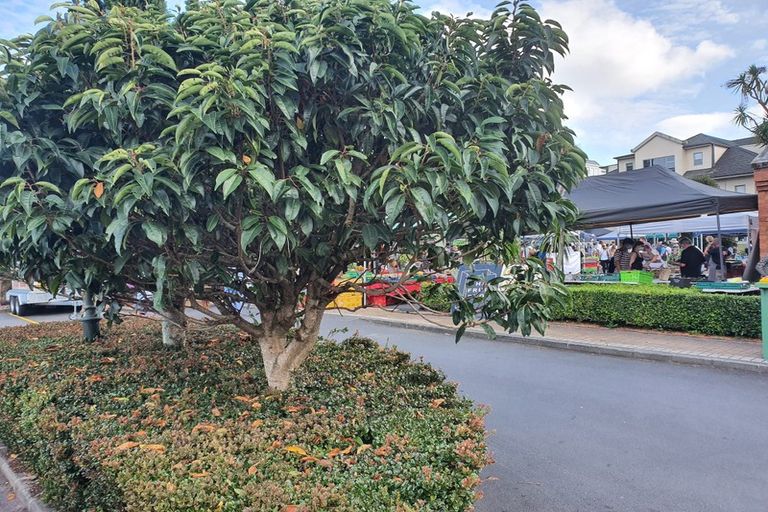 Photo of property in 19/68 Remuera Road, Remuera, Auckland, 1050