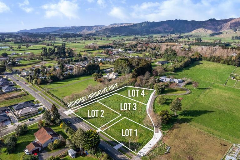 Photo of property in 48 Fairfield Road, Levin, 5510