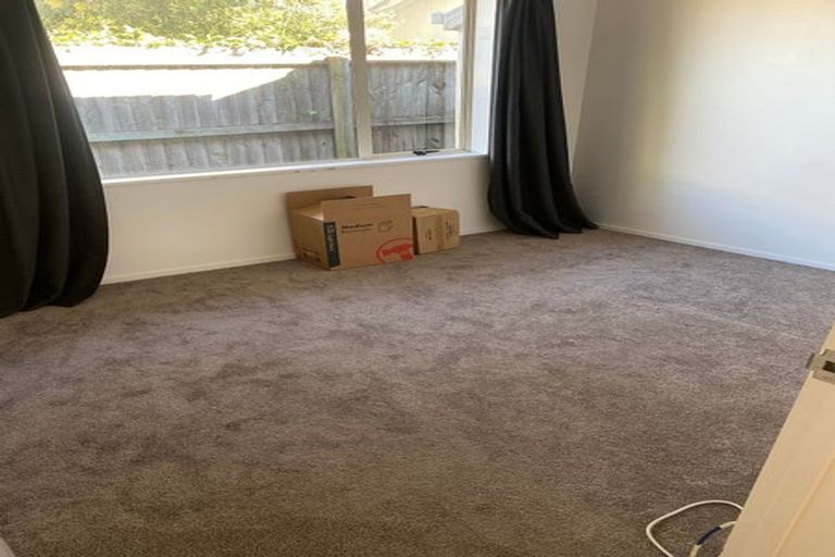 Photo of property in 24 Hillmorton Street, Hillmorton, Christchurch, 8024