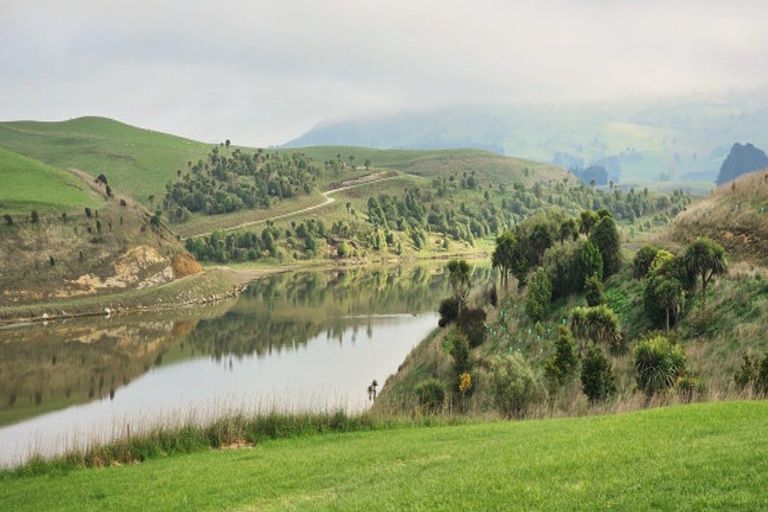 Photo of property in 371 Thorburn Road, Waikouaiti, 9472