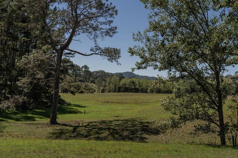 Photo of property in 403 Purangi Road, Purangi, Whitianga, 3591